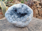 Natural Large Large Blue Celestite Geode Specimen x 1 From Sakoany, Madagascar - Toprock Gemstones and Minerals 