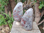Polished Copper Sunstone Standing Display Pieces x 2 From Madagascar - Toprock Gemstones and Minerals 