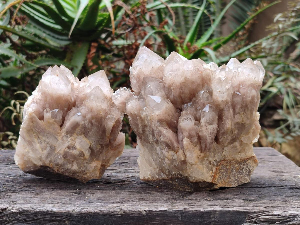 Natural Cascading White Phantom Smokey Luena Quartz Clusters x 2 From Luena, Congo - Toprock Gemstones and Minerals 