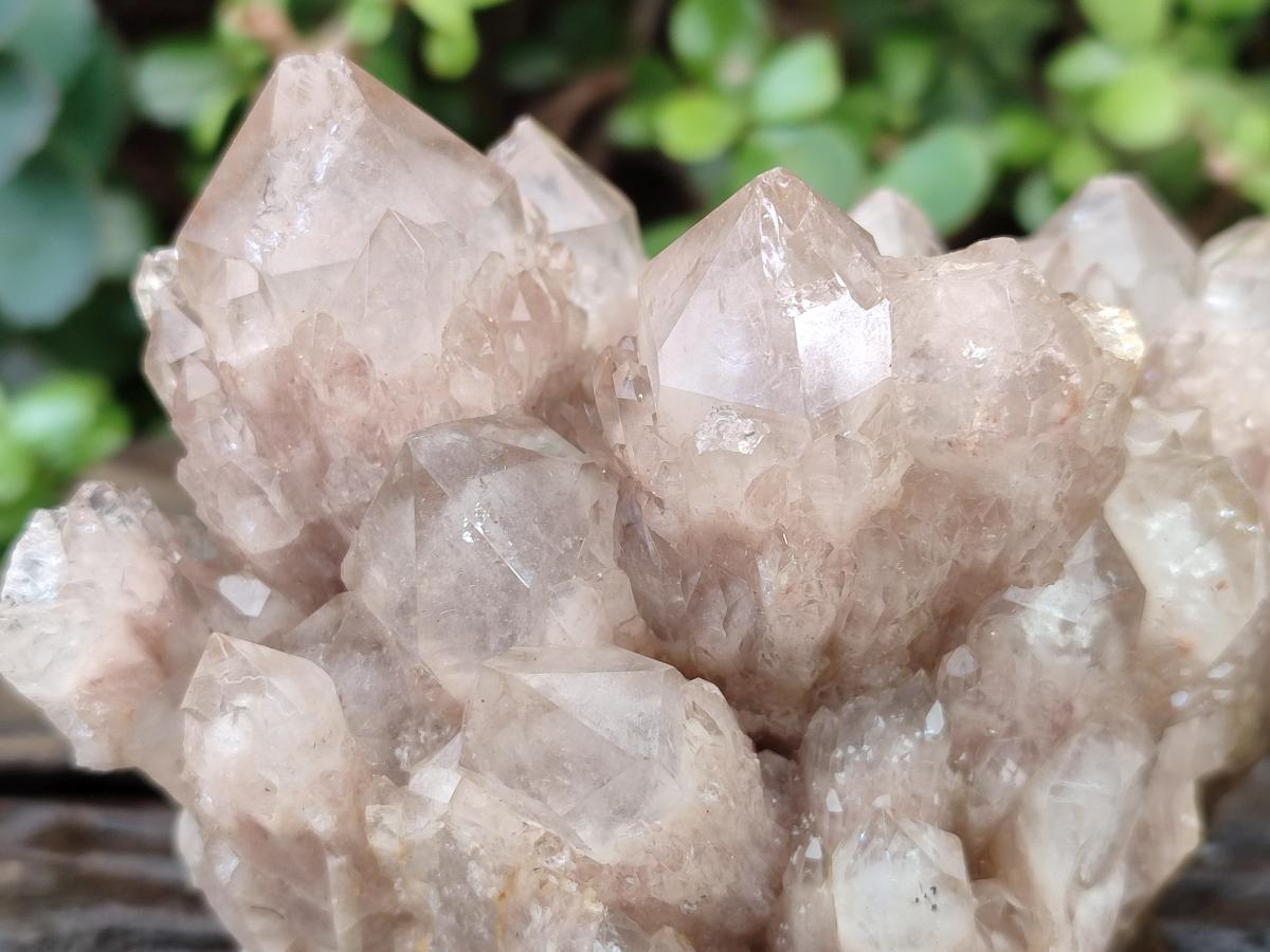 Natural Cascading White Phantom Smokey Luena Quartz Clusters x 2 From Luena, Congo - Toprock Gemstones and Minerals 