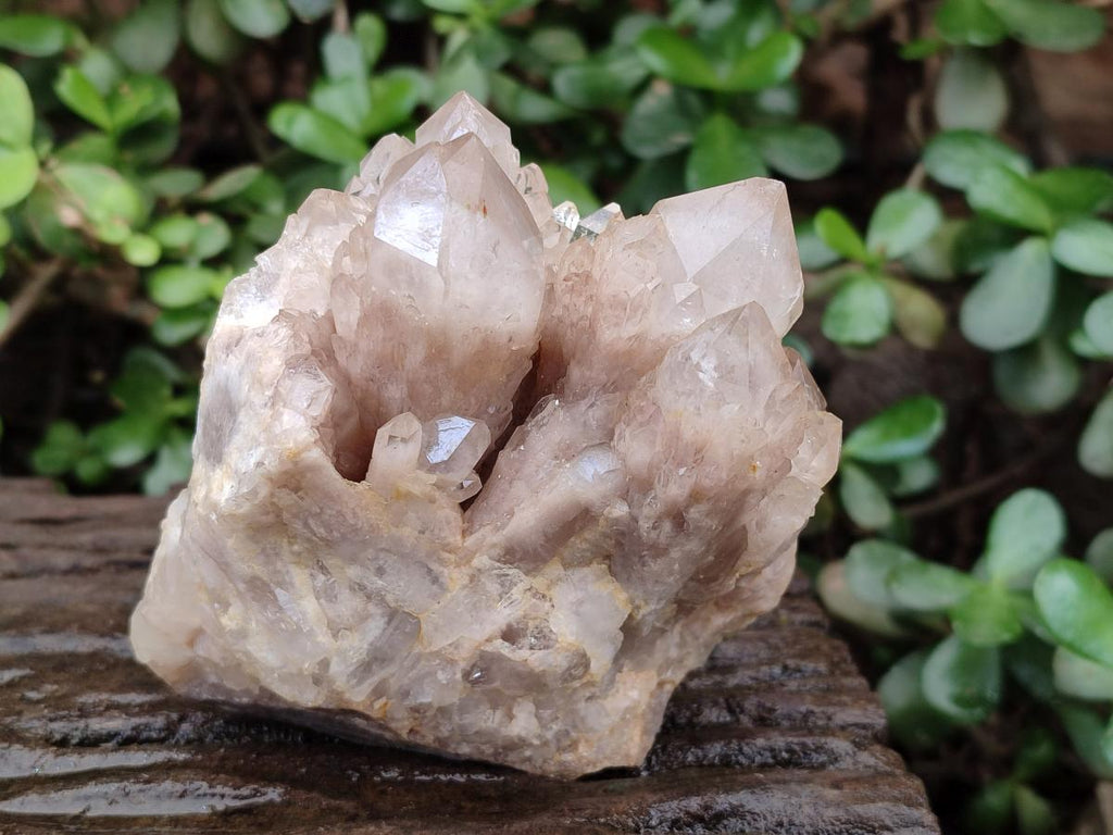 Natural Cascading White Phantom Smokey Luena Quartz Clusters x 2 From Luena, Congo - Toprock Gemstones and Minerals 