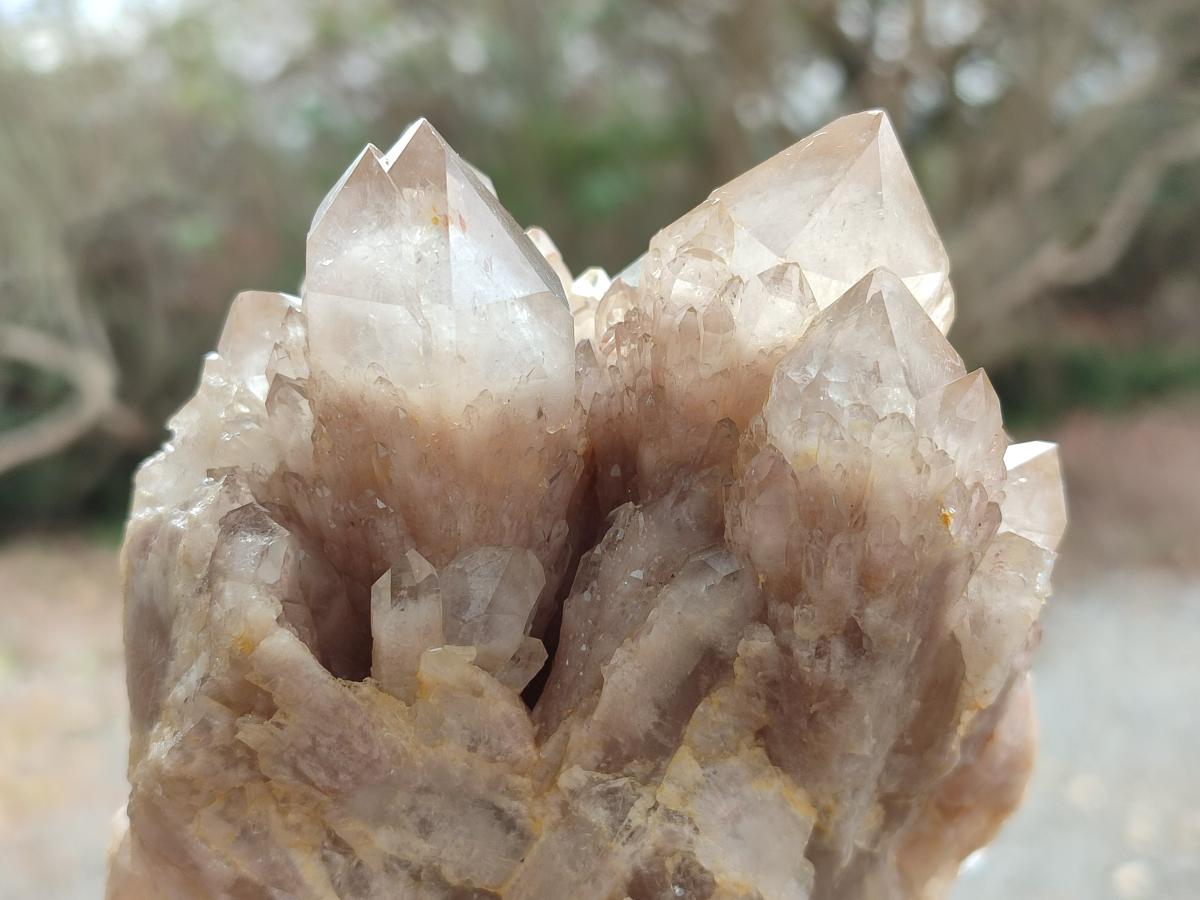 Natural Cascading White Phantom Smokey Luena Quartz Clusters x 2 From Luena, Congo - Toprock Gemstones and Minerals 