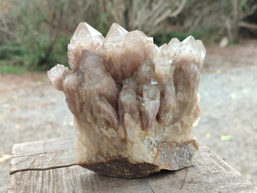 Natural Cascading White Phantom Smokey Luena Quartz Clusters x 2 From Luena, Congo - Toprock Gemstones and Minerals 