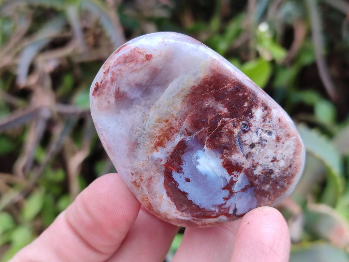 Polished and Natural Red Shashe River Agate Free Forms x 12 From Shashe River, Zimbabwe - Toprock Gemstones and Minerals 