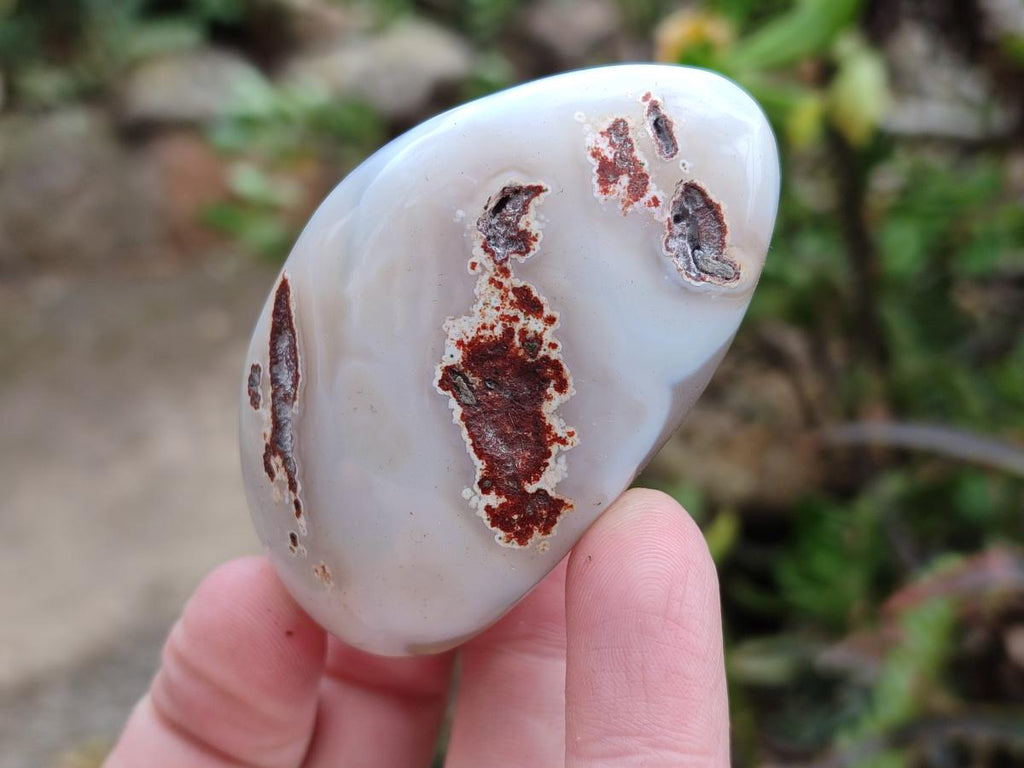 Polished and Natural Red Shashe River Agate Free Forms x 12 From Shashe River, Zimbabwe - Toprock Gemstones and Minerals 