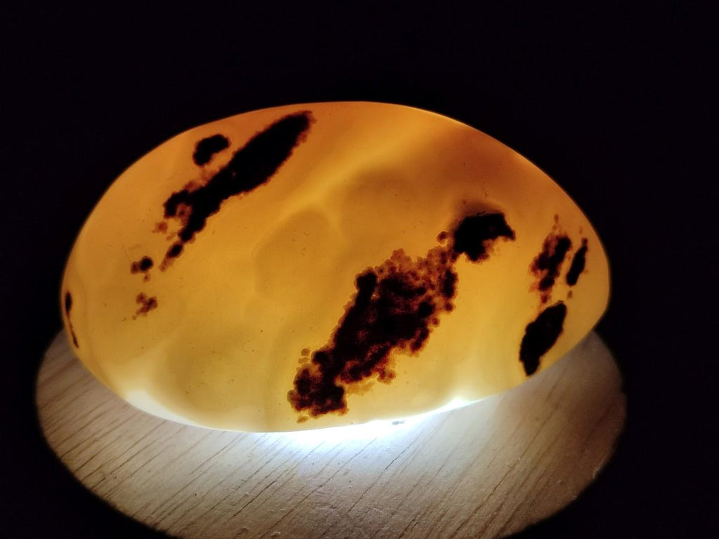 Polished and Natural Red Shashe River Agate Free Forms x 12 From Shashe River, Zimbabwe - Toprock Gemstones and Minerals 