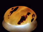 Polished and Natural Red Shashe River Agate Free Forms x 12 From Shashe River, Zimbabwe - Toprock Gemstones and Minerals 