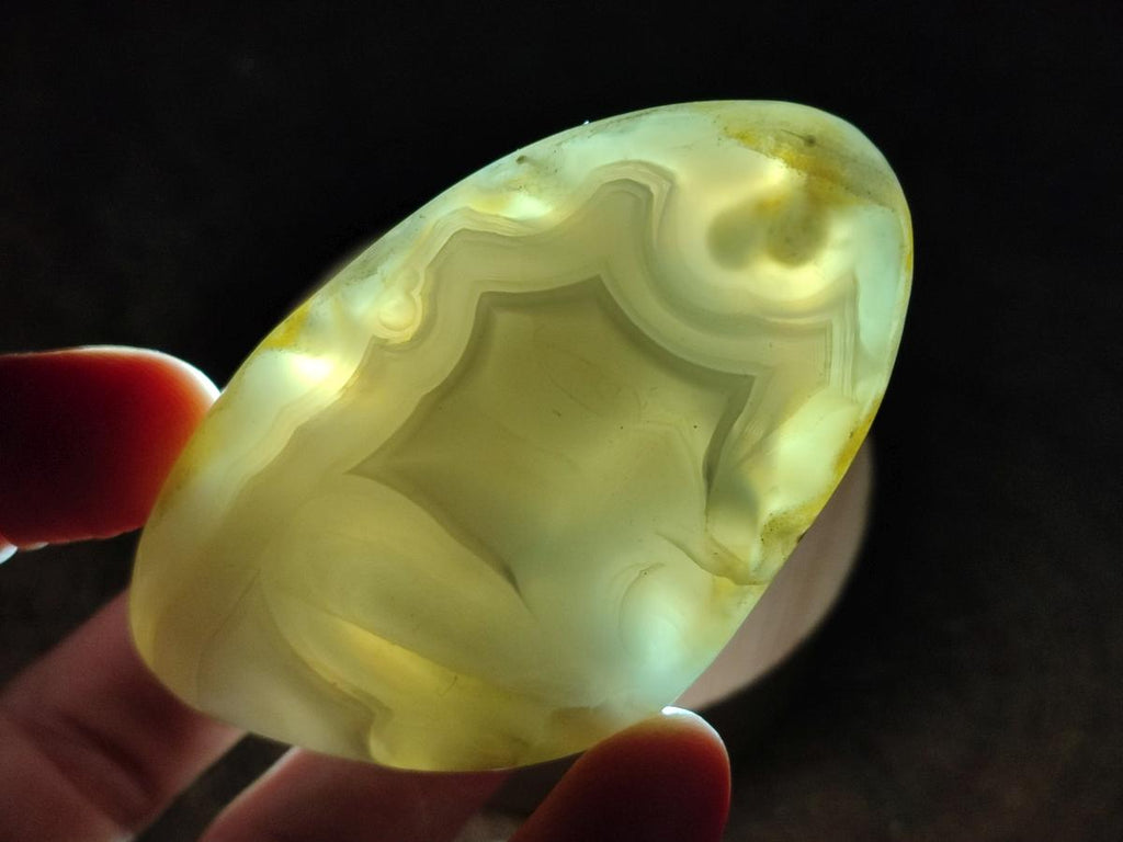 Polished and Natural Red Shashe River Agate Free Forms x 12 From Shashe River, Zimbabwe - Toprock Gemstones and Minerals 