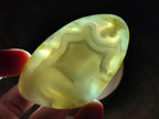 Polished and Natural Red Shashe River Agate Free Forms x 12 From Shashe River, Zimbabwe - Toprock Gemstones and Minerals 
