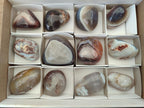 Polished and Natural Red Shashe River Agate Free Forms x 12 From Shashe River, Zimbabwe - Toprock Gemstones and Minerals 