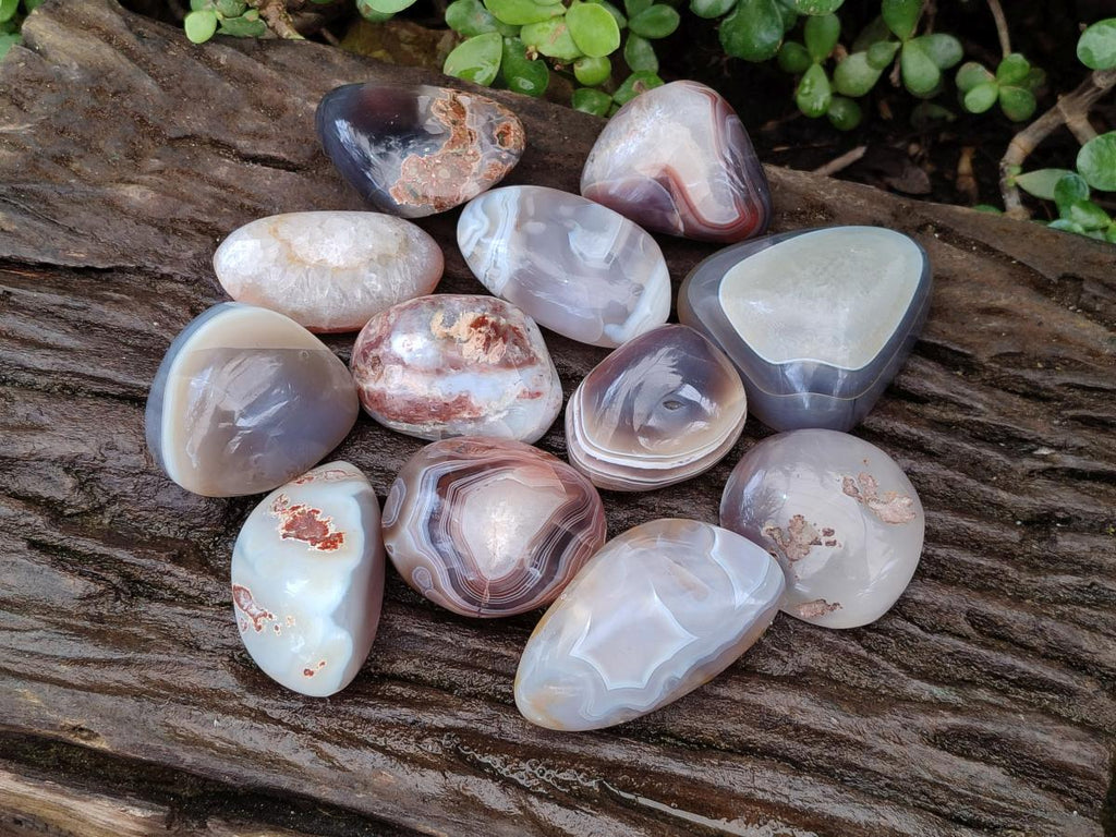 Polished and Natural Red Shashe River Agate Free Forms x 12 From Shashe River, Zimbabwe - Toprock Gemstones and Minerals 