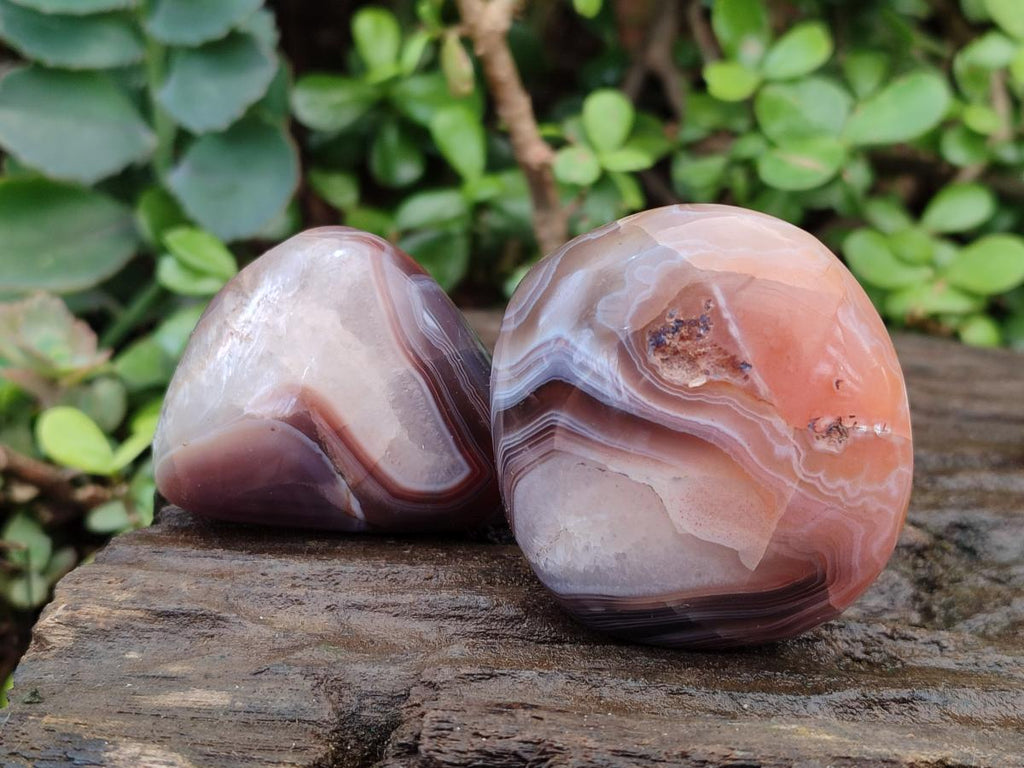 Polished and Natural Red Shashe River Agate Free Forms x 12 From Shashe River, Zimbabwe - Toprock Gemstones and Minerals 