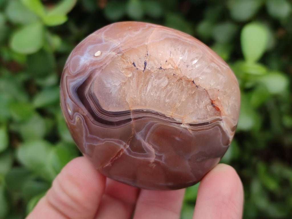Polished and Natural Red Shashe River Agate Free Forms x 12 From Shashe River, Zimbabwe - Toprock Gemstones and Minerals 