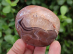 Polished and Natural Red Shashe River Agate Free Forms x 12 From Shashe River, Zimbabwe - Toprock Gemstones and Minerals 