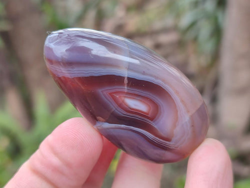 Polished and Natural Red Shashe River Agate Free Forms x 12 From Shashe River, Zimbabwe - Toprock Gemstones and Minerals 