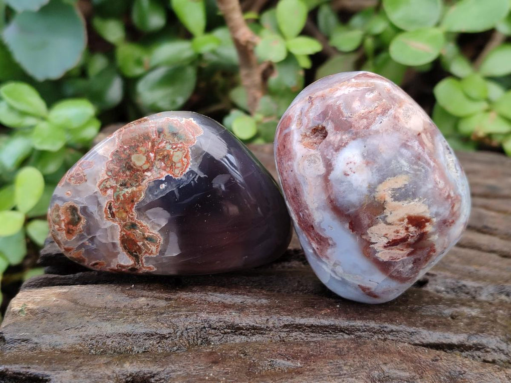 Polished and Natural Red Shashe River Agate Free Forms x 12 From Shashe River, Zimbabwe - Toprock Gemstones and Minerals 