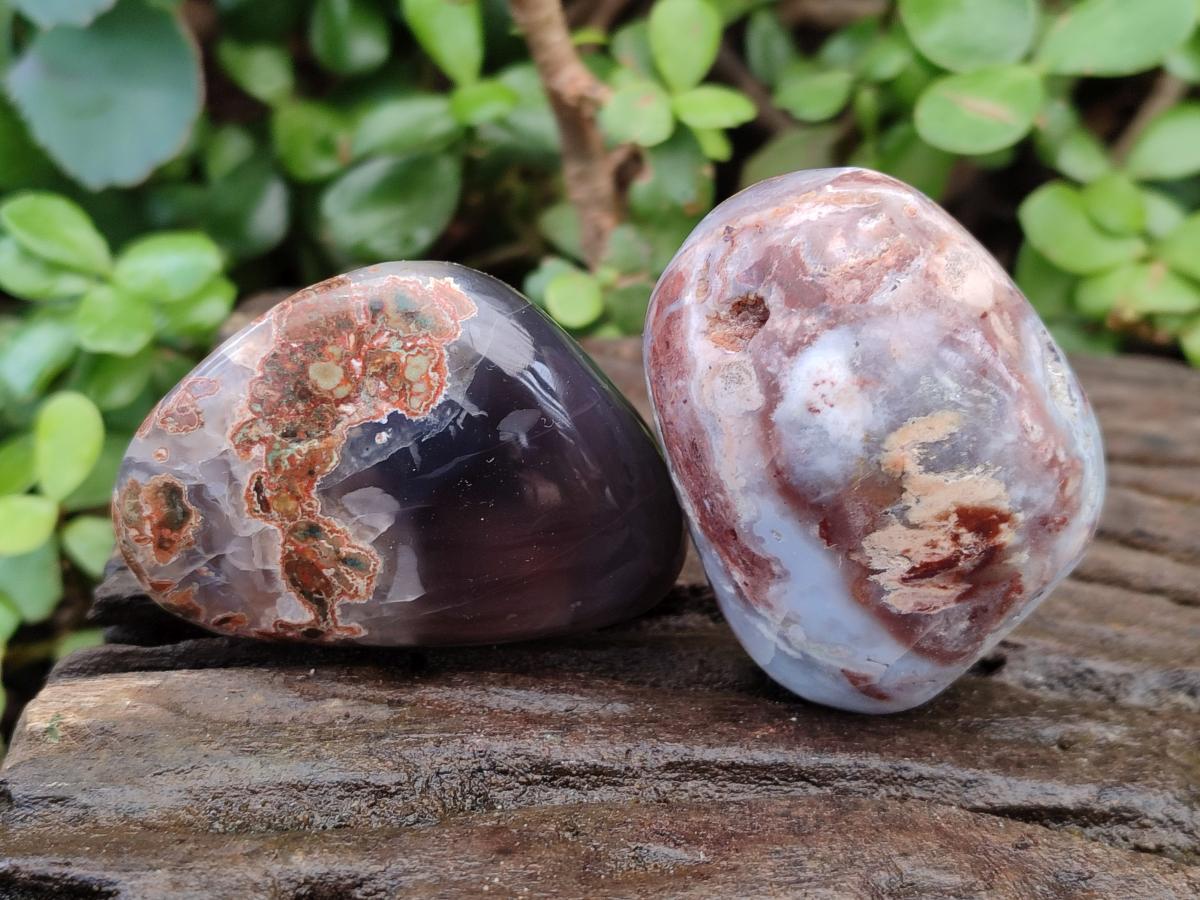 Polished and Natural Red Shashe River Agate Free Forms x 12 From Shashe River, Zimbabwe - Toprock Gemstones and Minerals 