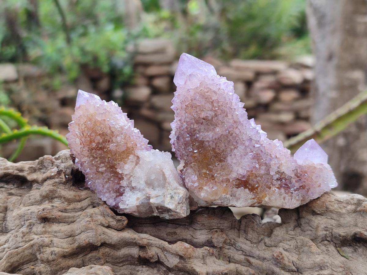 Natural Mixed Spirit Amethyst and Spirit Ametrine Clusters x 15 From Boekenhouthoek, South Africa - Toprock Gemstones and Minerals 