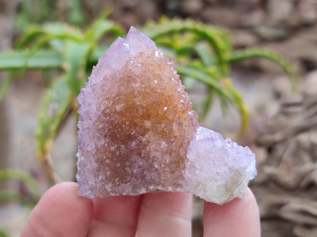 Natural Mixed Spirit Amethyst and Spirit Ametrine Clusters x 15 From Boekenhouthoek, South Africa - Toprock Gemstones and Minerals 
