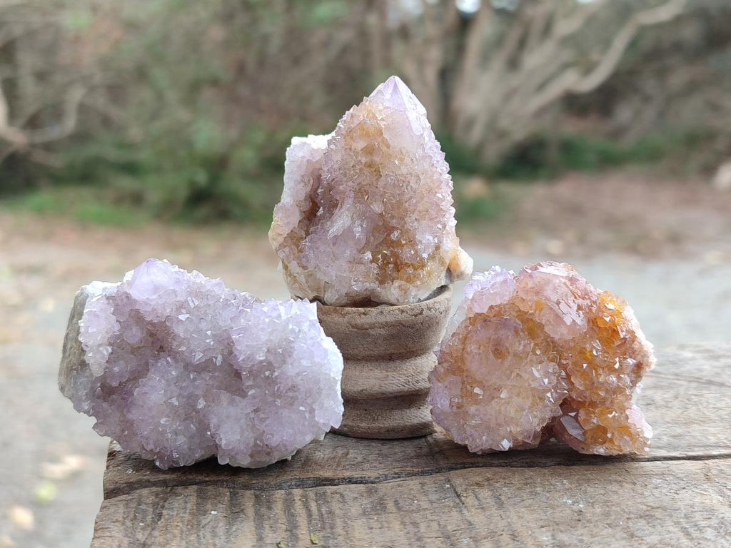 Natural Mixed Spirit Amethyst and Spirit Ametrine Clusters x 15 From Boekenhouthoek, South Africa - Toprock Gemstones and Minerals 