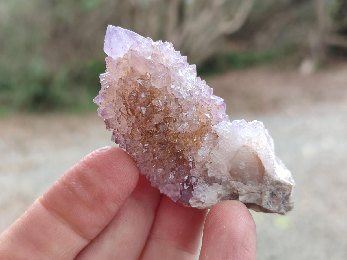 Natural Mixed Spirit Amethyst and Spirit Ametrine Clusters x 15 From Boekenhouthoek, South Africa - Toprock Gemstones and Minerals 