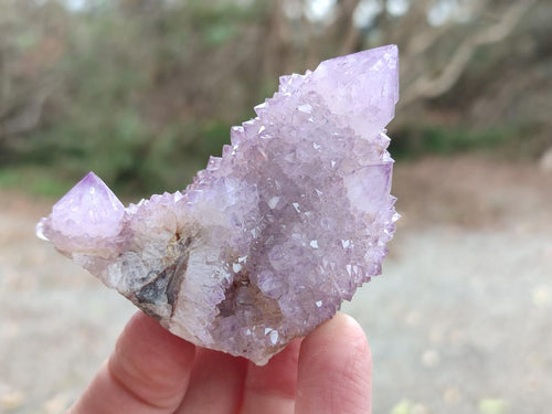 Natural Mixed Spirit Amethyst and Spirit Ametrine Clusters x 15 From Boekenhouthoek, South Africa - Toprock Gemstones and Minerals 