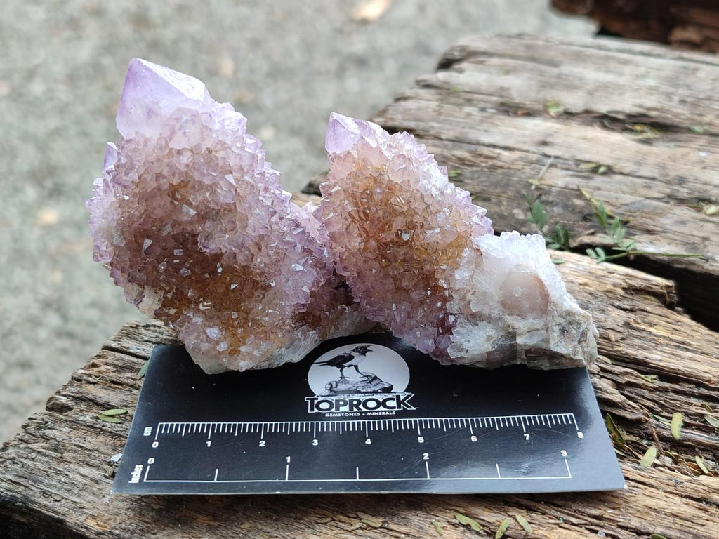 Natural Mixed Spirit Amethyst and Spirit Ametrine Clusters x 15 From Boekenhouthoek, South Africa - Toprock Gemstones and Minerals 