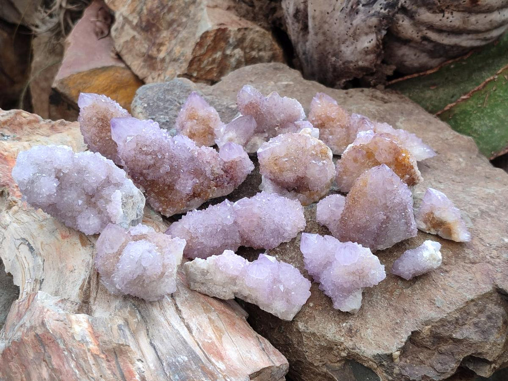 Natural Mixed Spirit Amethyst and Spirit Ametrine Clusters x 15 From Boekenhouthoek, South Africa - Toprock Gemstones and Minerals 