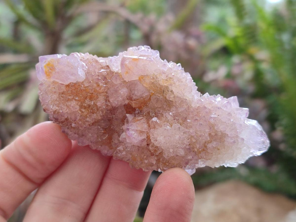 Natural Mixed Spirit Amethyst and Spirit Ametrine Clusters x 15 From Boekenhouthoek, South Africa - Toprock Gemstones and Minerals 