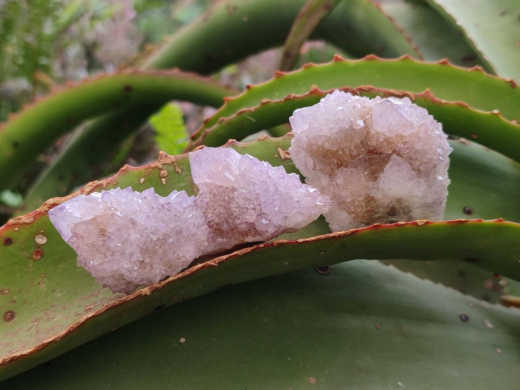 Natural Mixed Spirit Amethyst and Spirit Ametrine Clusters x 15 From Boekenhouthoek, South Africa - Toprock Gemstones and Minerals 