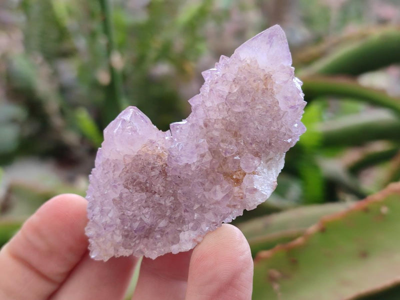 Natural Mixed Spirit Amethyst and Spirit Ametrine Clusters x 15 From Boekenhouthoek, South Africa - Toprock Gemstones and Minerals 