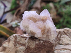 Natural Mixed Spirit Amethyst and Spirit Ametrine Clusters x 15 From Boekenhouthoek, South Africa - Toprock Gemstones and Minerals 