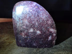 Polished Lepidolite Standing Display Pieces x 2 From Ambatondrazaka, Madagascar - Toprock Gemstones and Minerals 