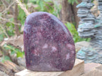 Polished Lepidolite Standing Display Pieces x 2 From Ambatondrazaka, Madagascar - Toprock Gemstones and Minerals 