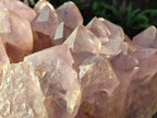 Natural XXL Jacaranda Amethyst Crystal Cluster x 1 From Mumbwa, Zambia - Toprock Gemstones and Minerals 