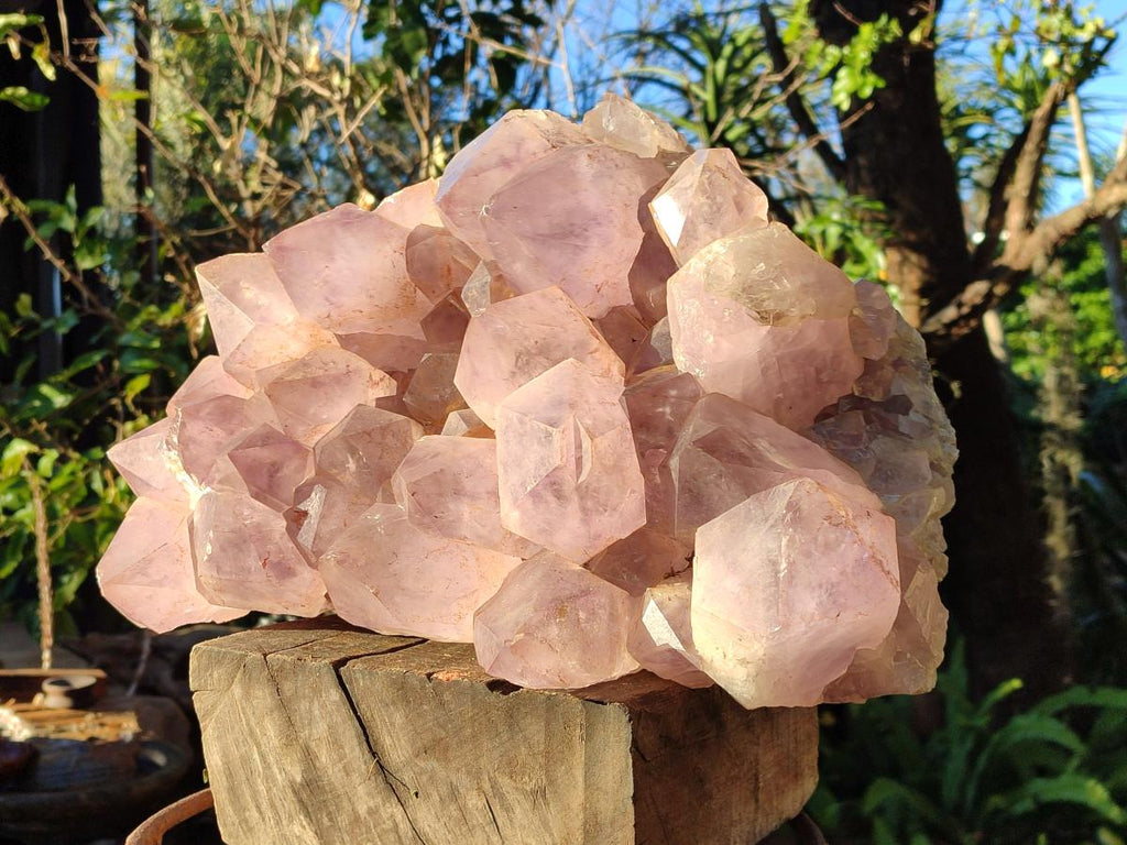 Natural XXL Jacaranda Amethyst Crystal Cluster x 1 From Mumbwa, Zambia - Toprock Gemstones and Minerals 