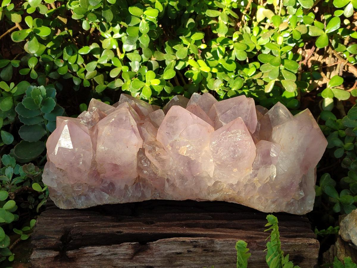Natural XXL Jacaranda Amethyst Crystal Cluster x 1 From Mumbwa, Zambia - Toprock Gemstones and Minerals 