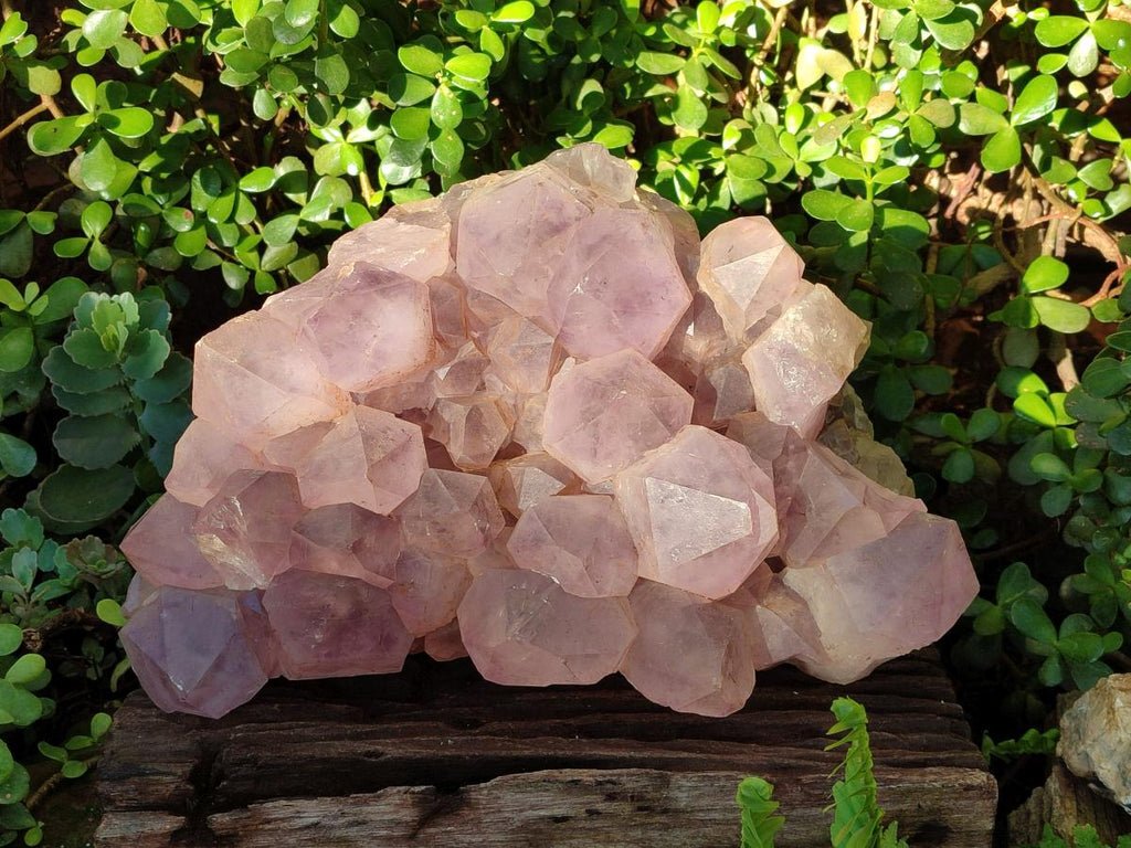 Natural XXL Jacaranda Amethyst Crystal Cluster x 1 From Mumbwa, Zambia - Toprock Gemstones and Minerals 