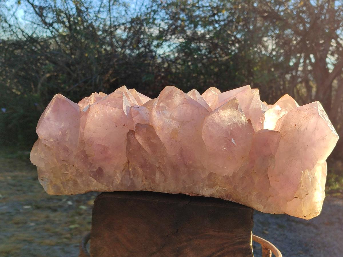 Natural XXL Jacaranda Amethyst Crystal Cluster x 1 From Mumbwa, Zambia - Toprock Gemstones and Minerals 
