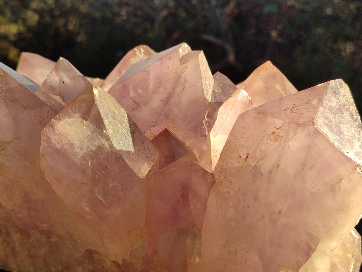Natural XXL Jacaranda Amethyst Crystal Cluster x 1 From Mumbwa, Zambia - Toprock Gemstones and Minerals 