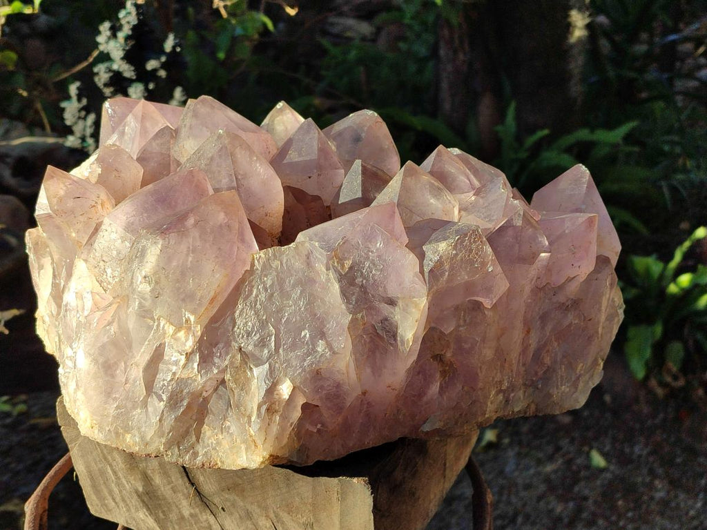 Natural XXL Jacaranda Amethyst Crystal Cluster x 1 From Mumbwa, Zambia - Toprock Gemstones and Minerals 