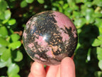 Polished Rhodonite Gemstone Spheres x 4 From Ambindavato, Madagascar - Toprock Gemstones and Minerals 