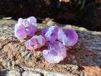 Natural Lilac Amethyst Crystals x 2.82 kg Lot From Madagascar - Toprock Gemstones and Minerals 