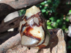 Polished Septerye Flames x 6 From Mahajanga, Madagascar - Toprock Gemstones and Minerals 