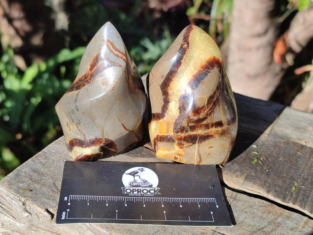 Polished Septerye Flames x 6 From Mahajanga, Madagascar - Toprock Gemstones and Minerals 