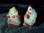 Polished Septerye Flames x 6 From Mahajanga, Madagascar - Toprock Gemstones and Minerals 
