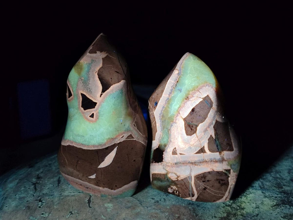 Polished Septerye Flames x 6 From Mahajanga, Madagascar - Toprock Gemstones and Minerals 