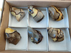 Polished Septerye Flames x 6 From Mahajanga, Madagascar - Toprock Gemstones and Minerals 