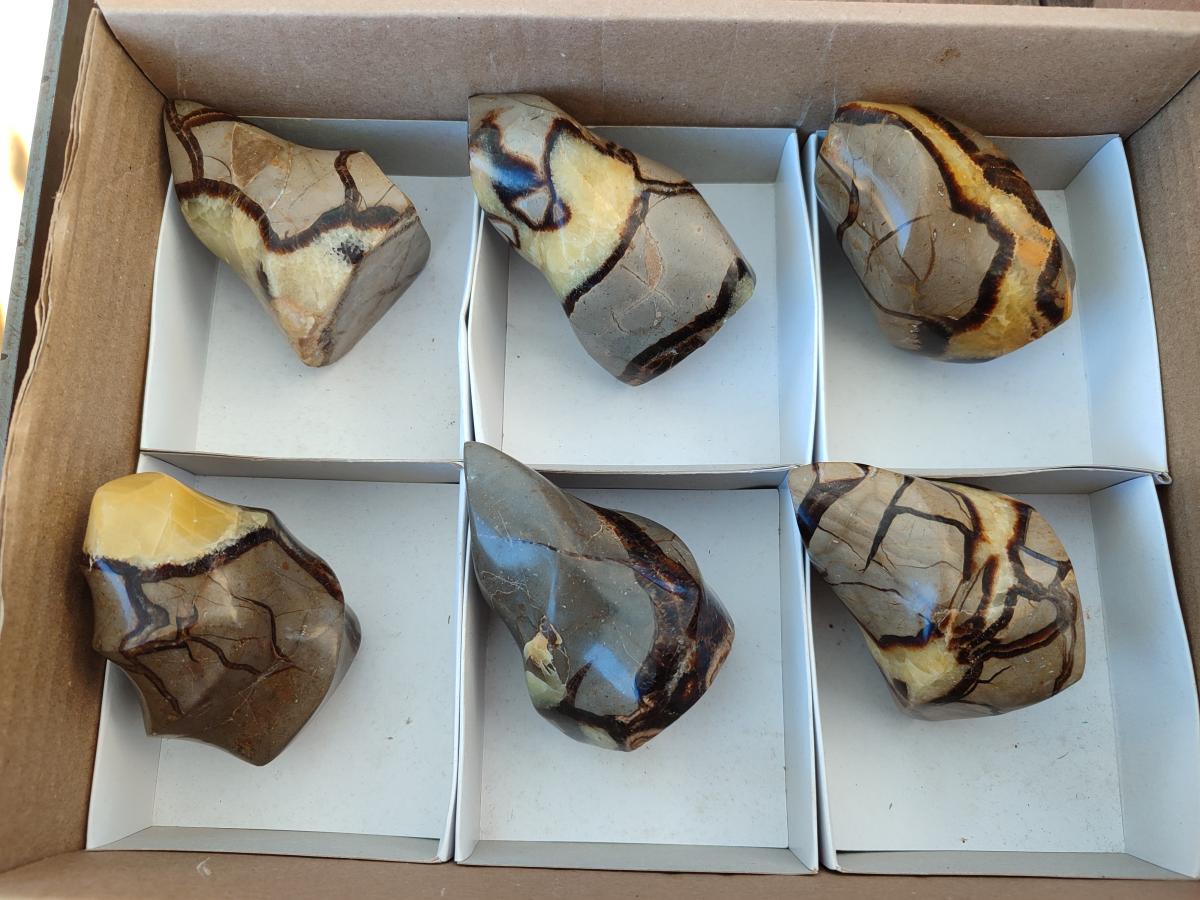 Polished Septerye Flames x 6 From Mahajanga, Madagascar - Toprock Gemstones and Minerals 