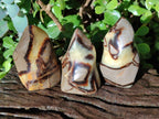 Polished Septerye Flames x 6 From Mahajanga, Madagascar - Toprock Gemstones and Minerals 